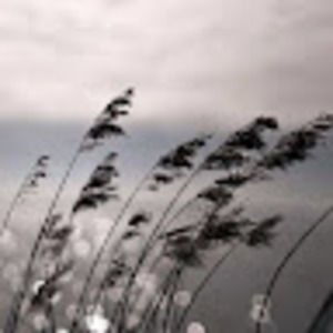 Meet your Posher, Rhianna